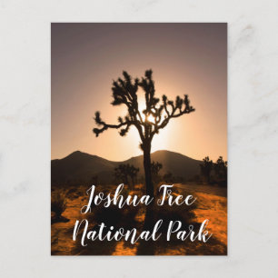 A noite começa no cartão postal Joshua Tree