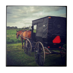 A noite passada em uma comunidade de Amish, cavalo