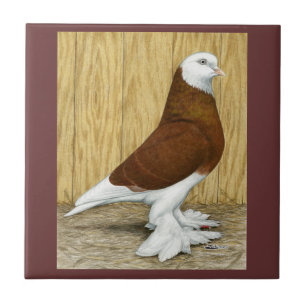 A oeste do Baldhead do vermelho do Tumbler de