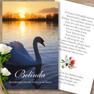A oração carda a cisne do por do sol de  