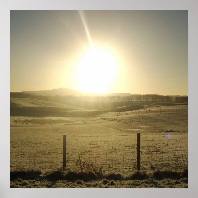 A Órbita da Vida Incrível Impressão (Frente)