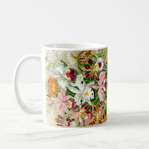 A orquídea floresce a caneca