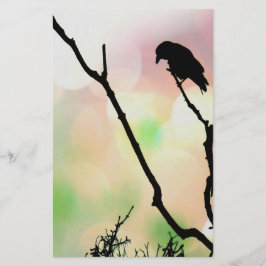 A papelaria do Solitário Crow