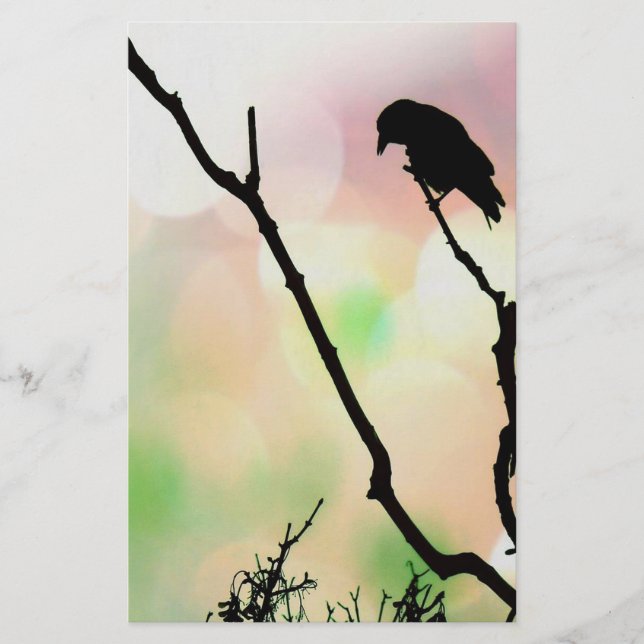 A papelaria do Solitário Crow (Frente)