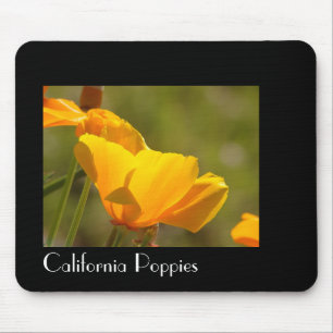 A papoila de Califórnia floresce Mousepad