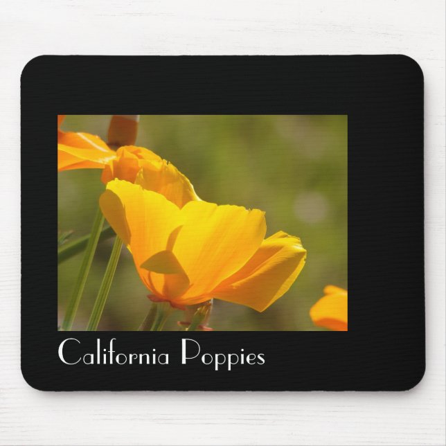 A papoila de Califórnia floresce Mousepad (Frente)
