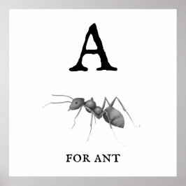 "A" para Ant Poster