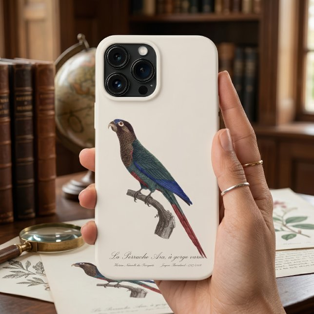A periquita Ara, de garganta variada  (The Painted Parakeet, Pyrrhura Picta. iPhone Case)