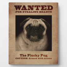 A Placa de Pug Psortuda