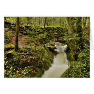 a ponte velha cartão