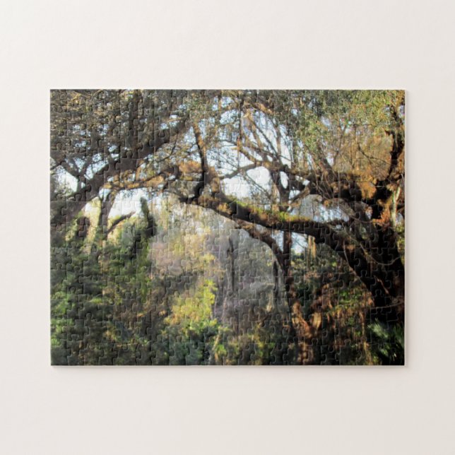 A Quebra-cabeça da Floresta Mágica (Horizontal)