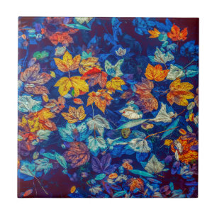 A queda do índio deixa o padrão de espiral