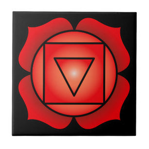 A raiz Chakra