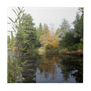 A relaxar a cena do jardim, lindas árvores...