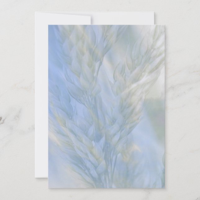 A Semente da Vida (Frente)