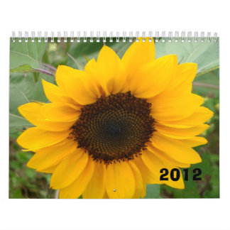 A senhorita Molly Fotografia Calendário