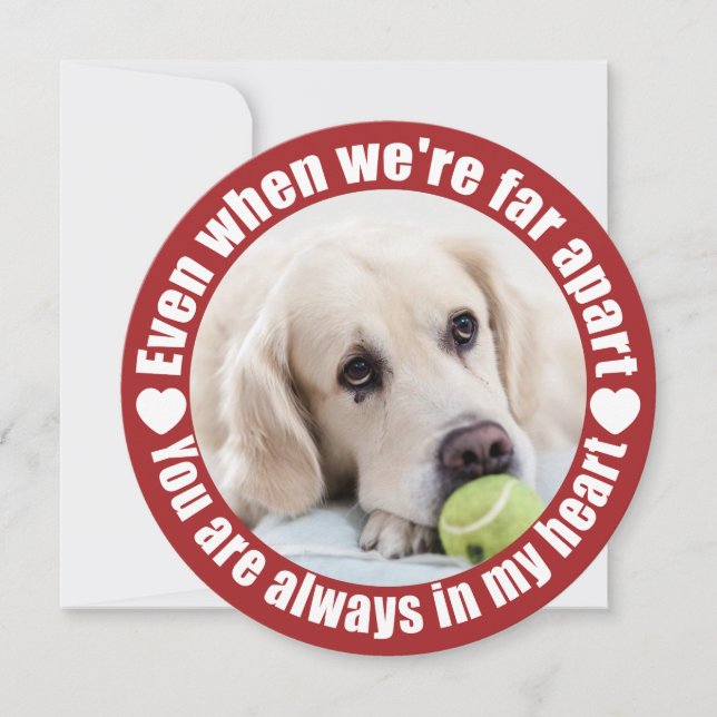 A SUA FOTOGRAFIA Fora do Amor Cartão Personalizado (Frente)