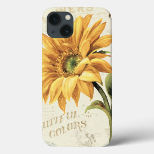 A Sunflower in Full Bloom