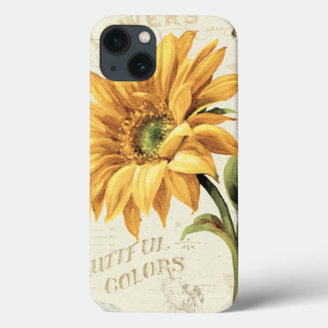 A Sunflower in Full Bloom (Verso)