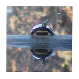 A tartaruga refletiu o azulejo decorativo