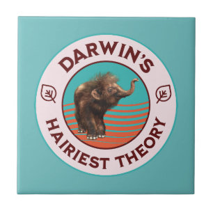 A Teoria Mais Hairista de Darwin, Cute Wooly Mammo