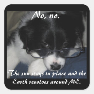 A "terra revolve em torno de MIM" as etiquetas -