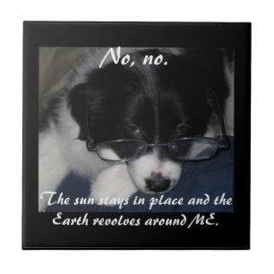 A "terra revolve em torno de MIM" o azulejo