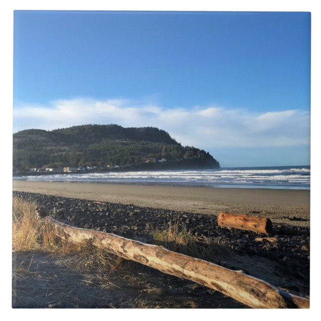 A Vaca em Seaside, Oregon (Frente)