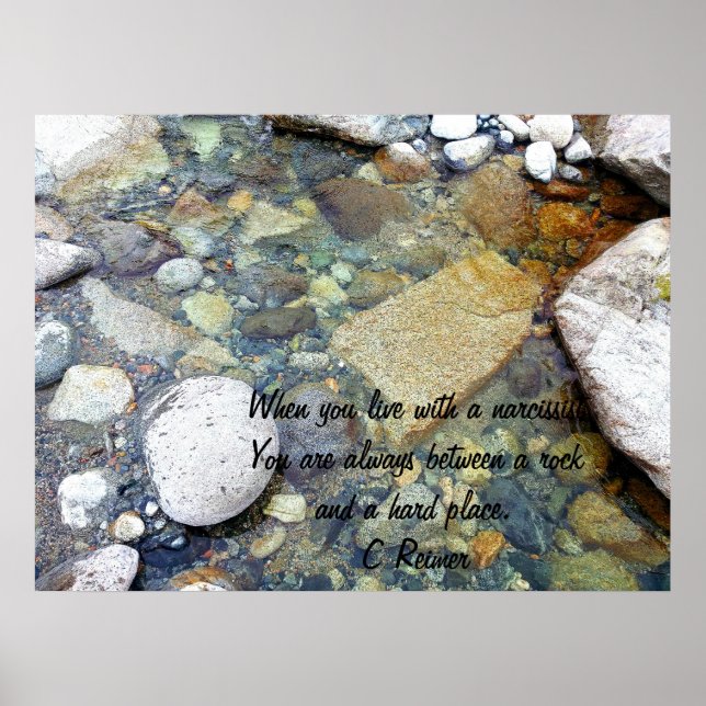 A Vida Com Um Poster Narcisista (Frente)