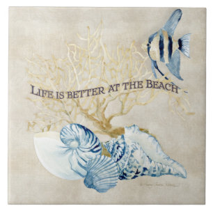 A vida do oceano do índigo é melhor nos escudos 