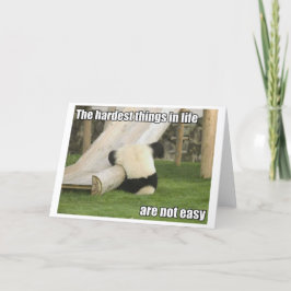 A vida é cartão duro da panda