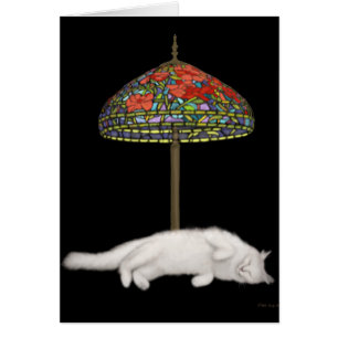 A vida é cartão duro do gato