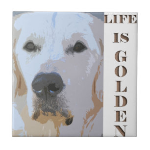 A VIDA É GOLDEN-TILE