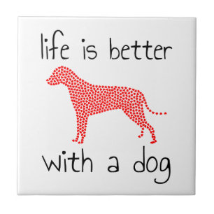 A Vida É Melhor Com Um Cão - Amantes de Cães