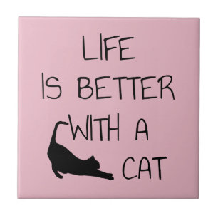 A Vida É Melhor Com Um Gato - Amantes De Gato