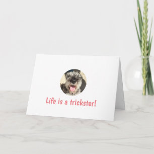 A vida é um Cartão de Saudação de Trickster