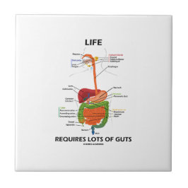 A vida exige lotes da entranhas (o sistema