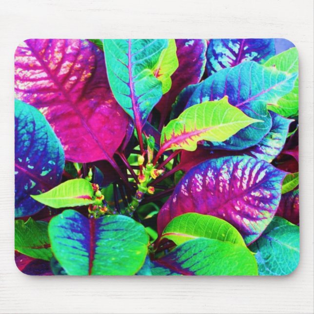 A violeta colorida planta Mousepad (Frente)