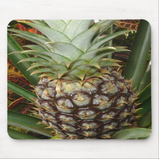 Abacaxi tropical Mousepad do quintal