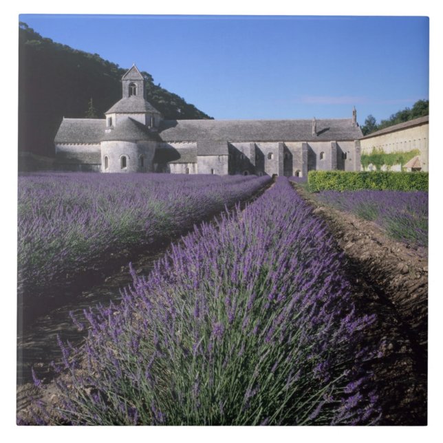 Abadia de Senanque, Gordes, Vaucluse, Provença, (Frente)