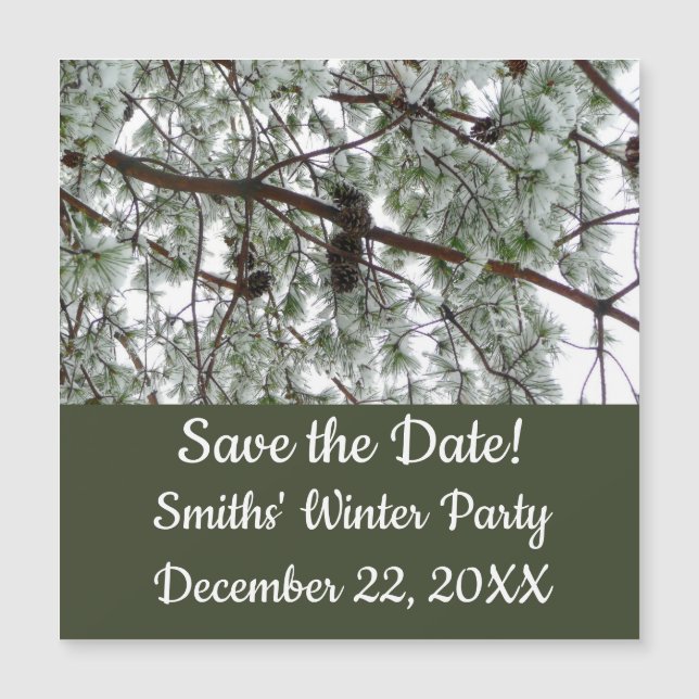 Abaixo da neve coberta pela árvore de pinheiro Fot (Frente)