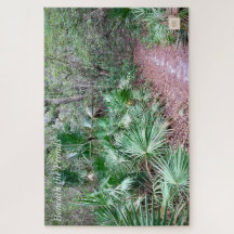 Abaixo Das Fronteiras - Quebra-cabeça De Ember Sil