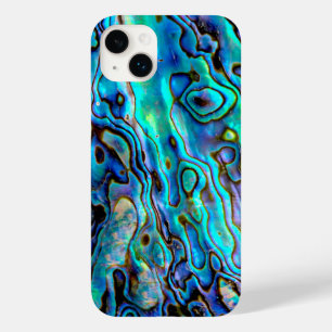 Abalone shell