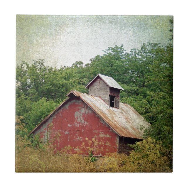 Abandonado e Supercultivado (Frente)