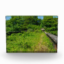 Abandoned Whitacre Mill Viaduct, Huddersfield