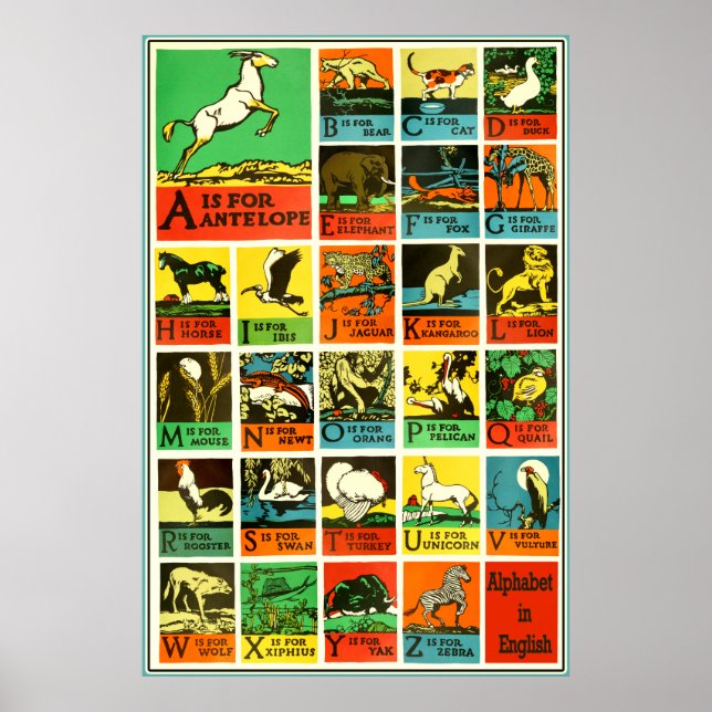 Abc Alphabet Animal poster - Quadro De Auxílios Ao (Frente)