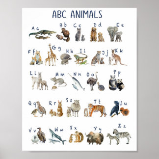 Abc. Aquarela Poster