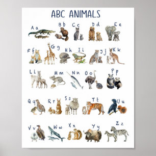 Abc Poster