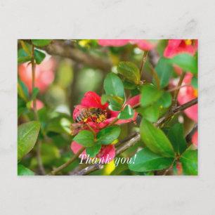 Abeja e Azaléia Cartão Postal de Agradecimento
