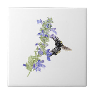 Abeja e Salvia Azul